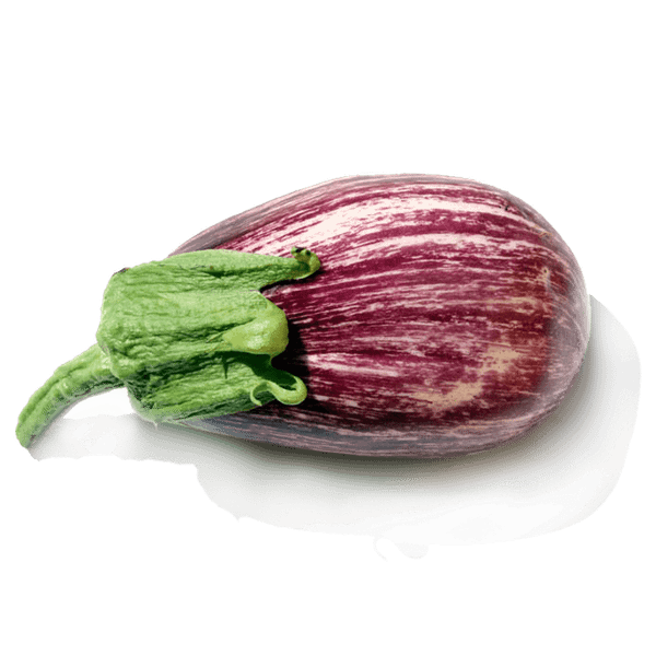 Патладжан шарен